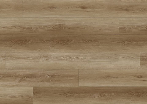 North Forest Collection