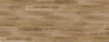 Silver Elm
