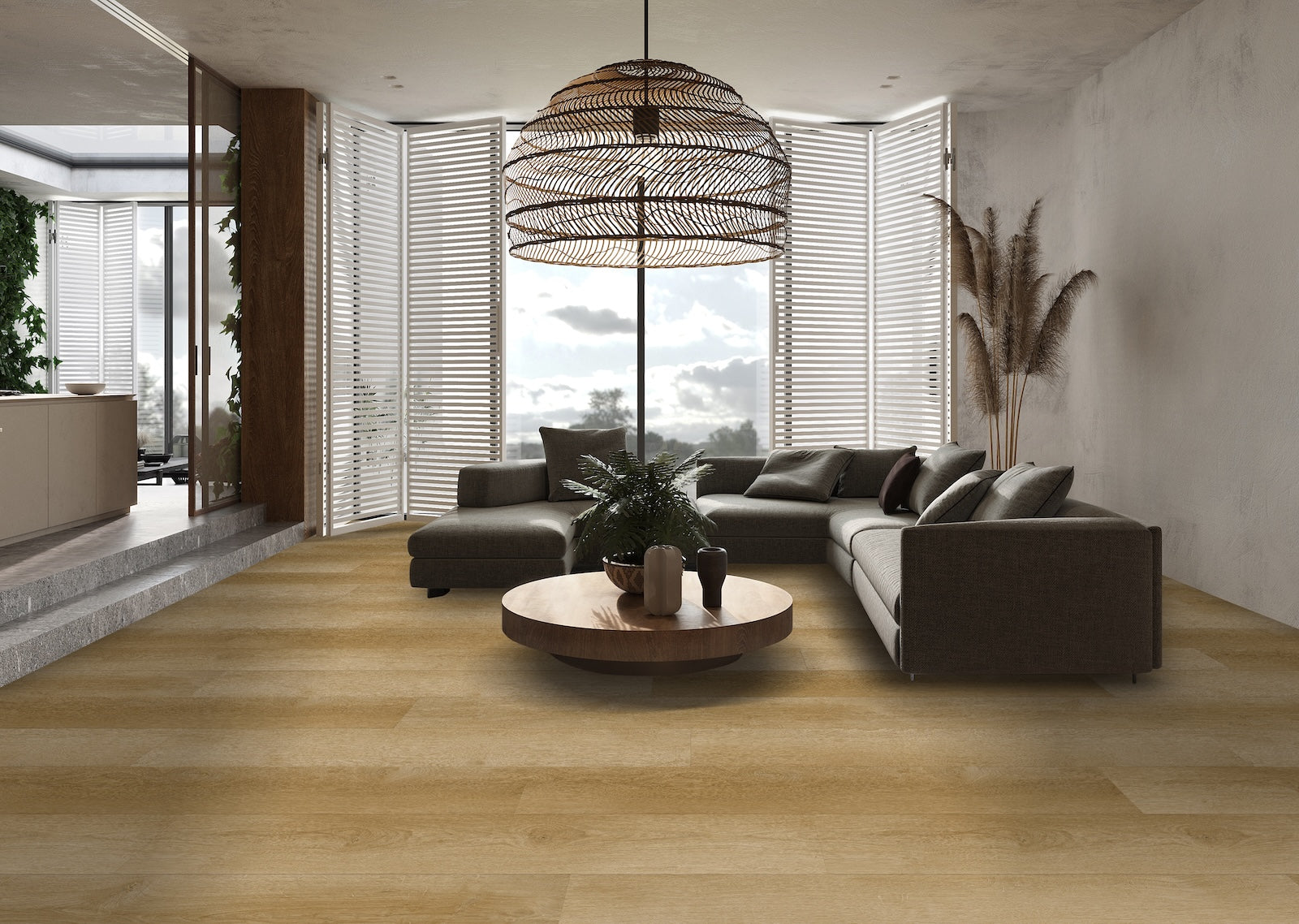Deep Forest Collection