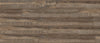American Elm