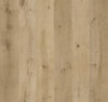 Coastal Ivory