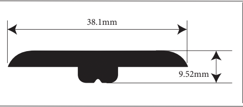 T-Molding (SPC)
