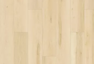 SolidTech Plus