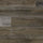 European Ash